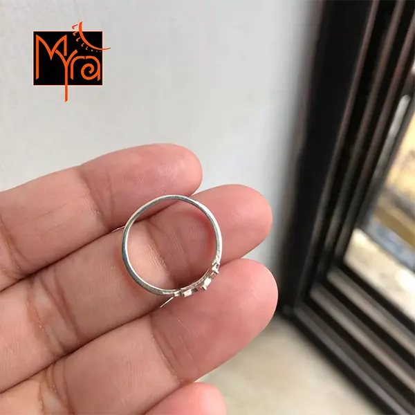 The Turtle Family Ring