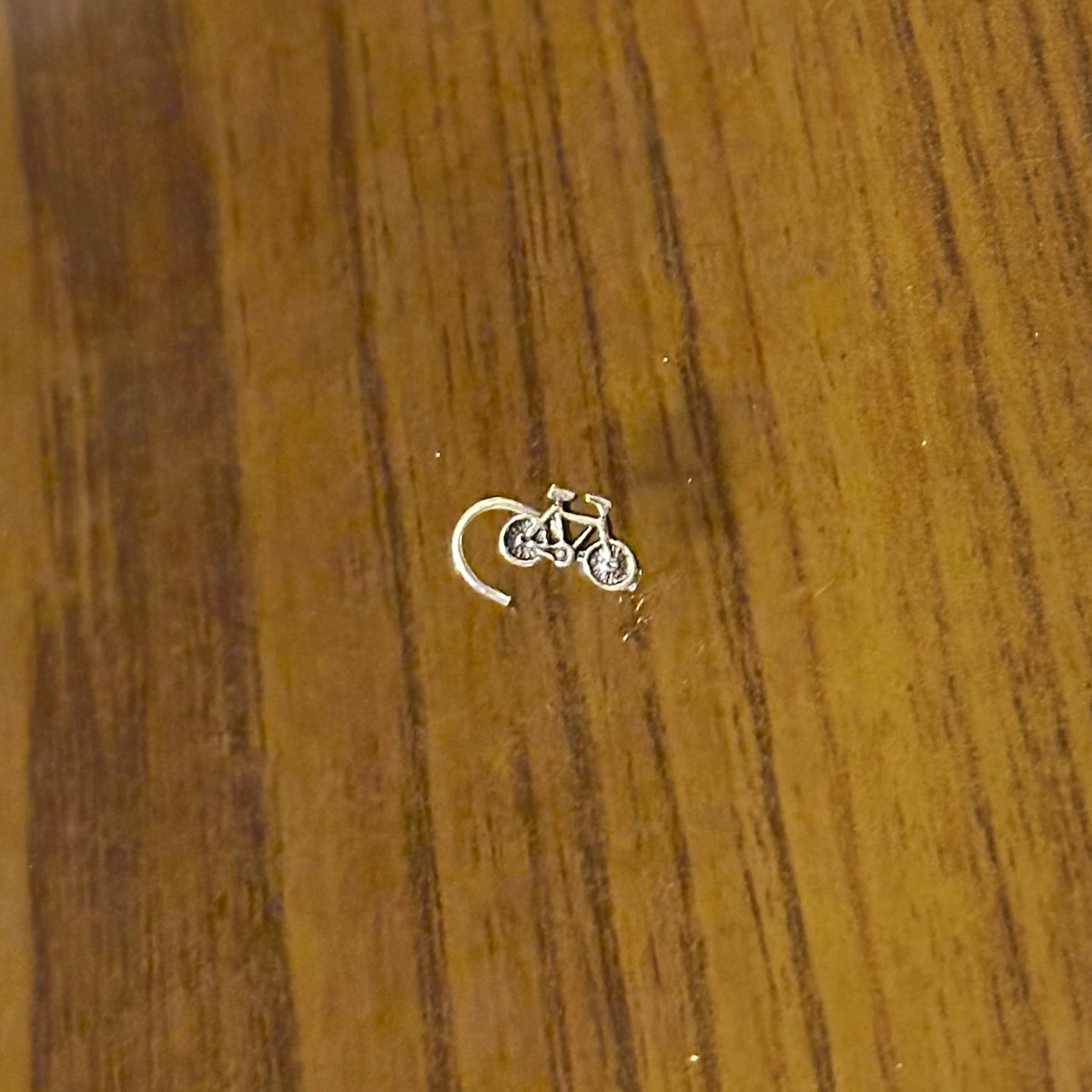 Pure Silver Cycle Nosepin (Wired)