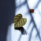 The Leafwrap Ring