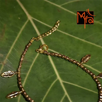 Long Feather Charm Golden Anklet