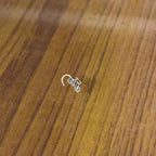 Pure Silver Cycle Nosepin (Wired)