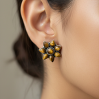 Bagher Chokh | Tiger Eye Sterling Silver Earrings