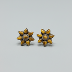 Bagher Chokh | Tiger Eye Sterling Silver Earrings