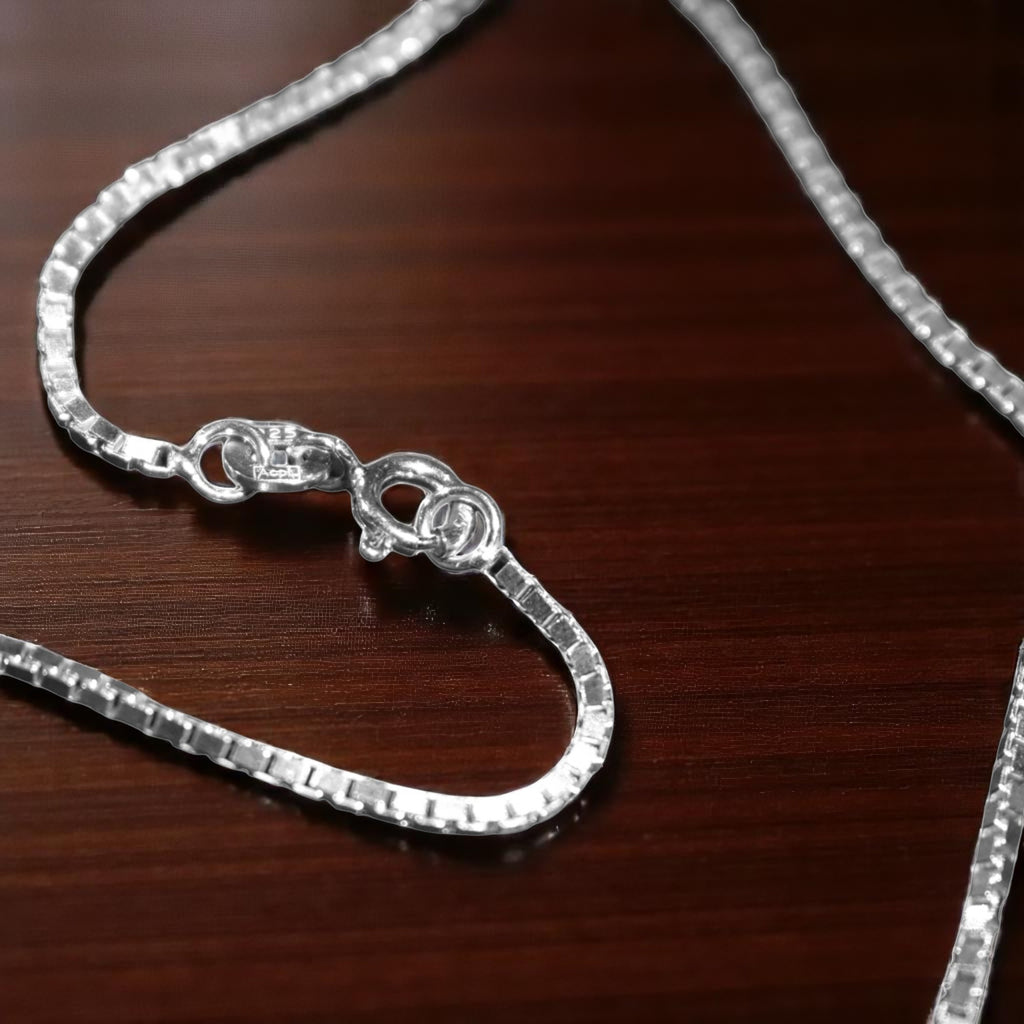 Box Chain Silver Anklet