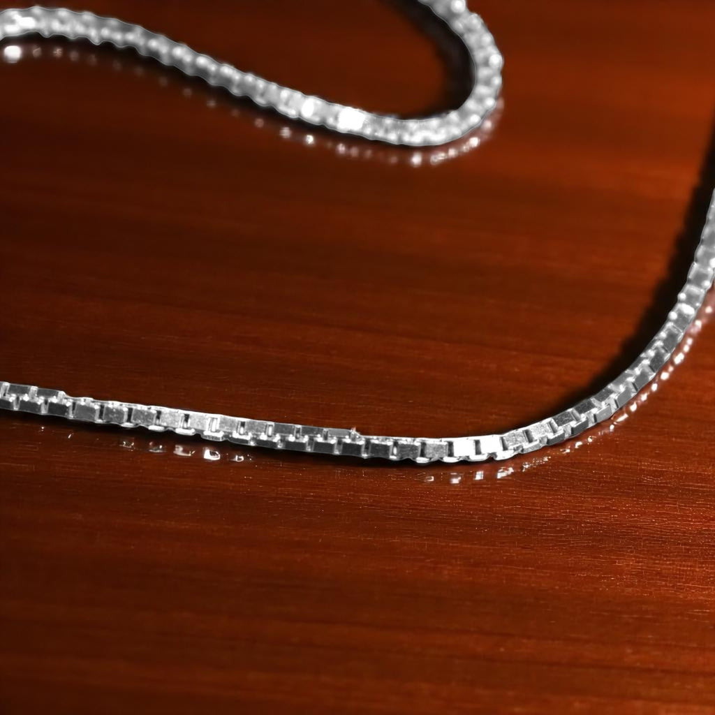 Box Chain Silver Anklet