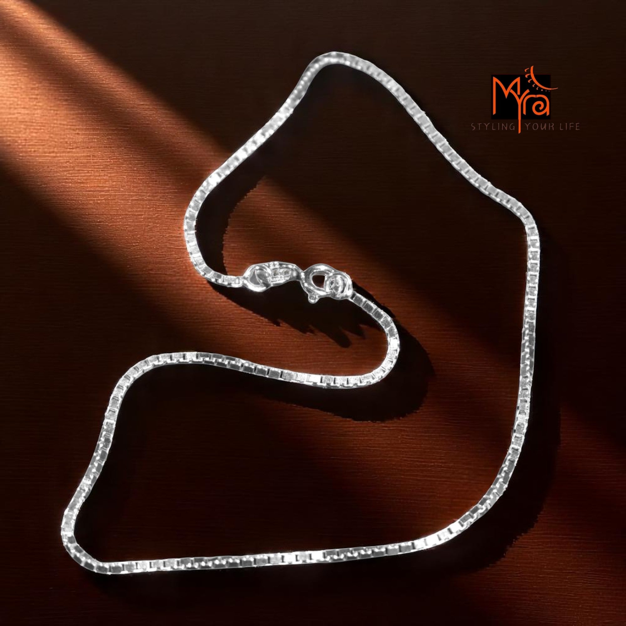 Box Chain Silver Anklet
