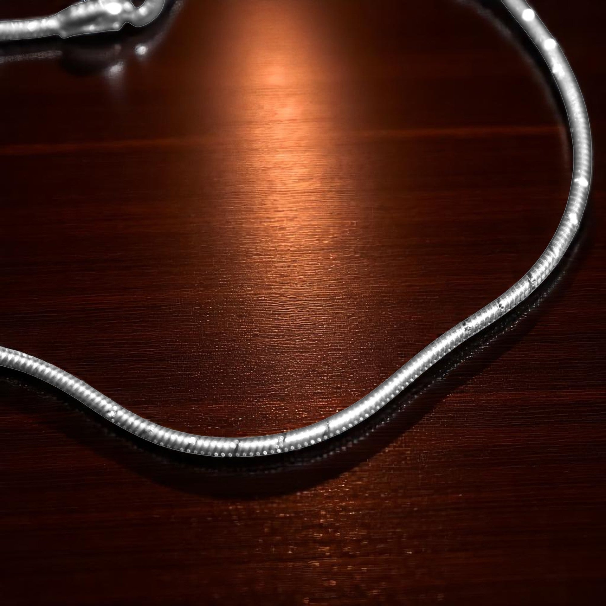 Rounded Edge Silver Anklet