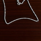Snake Chain Silver Anklet