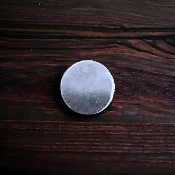 The Circle Nosepin